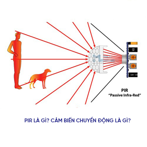 PIR là gì? cảm biến chuyển động là gì?