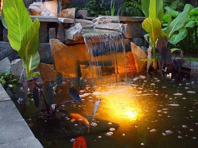 Đèn âm nước hồ cá