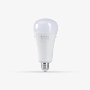 Đèn LED bulb lưu điện 9W A80 kc Rạng Đông