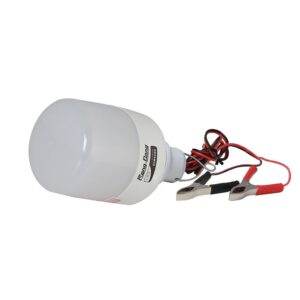 Đèn LED bulb Rạng Đông LED TR70N1 12W kẹp