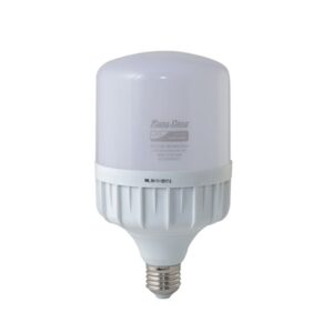 Đèn LED bulb Rạng Đông LED TR70N1 12W xoay