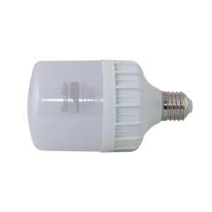 Đèn LED bulb Rạng Đông TR100N1 30W