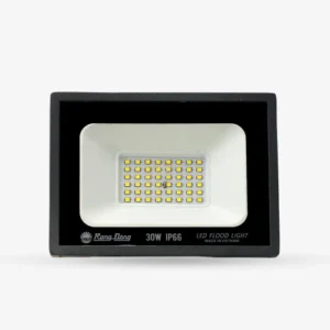 Đèn LED chiếu pha CP10 30W 6500K SS