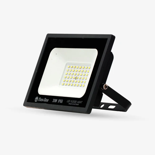 Đèn LED chiếu pha CP10 30W 6500K SS 4
