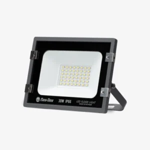 Đèn LED chiếu pha CP10 30W 6500K SS 5