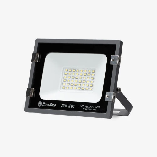 Đèn LED chiếu pha CP10 30W 6500K SS 5
