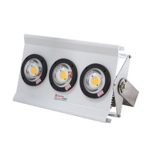 Đèn LED đánh cá 300W Rạng Đông
