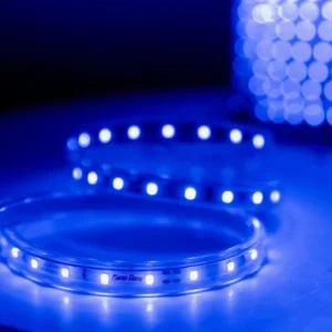 Đèn LED dây trang tri 1000 7W mau xanh LD01 b gia bàn theo met