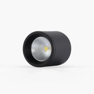 Đèn LED downlight nổi trần 110 10W NT01 4