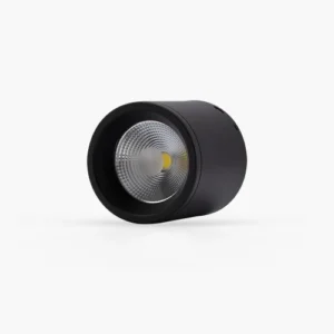 Đèn LED downlight nổi trần 110 12W NT01 4
