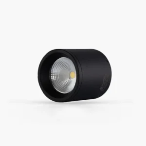 Đèn LED downlight nổi trần 110 15W NT01 4