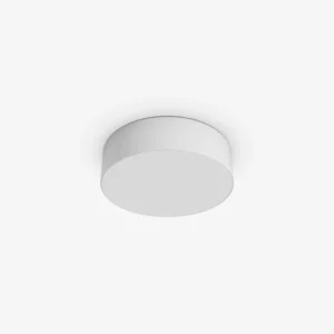Đèn LED ốp trần đổi màu LN29N 300 24W lắp trần