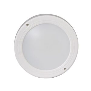 Đèn LED ốp trần Rạng Đông d LN05L 220 14W RAD