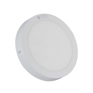 Đèn LED ốp trần Rạng Đông d LN09 300 24W RAD