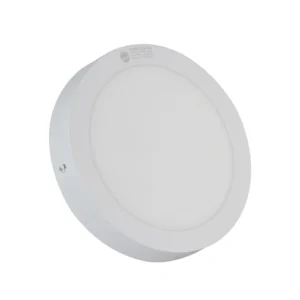 Đèn LED ốp trần tròn 300 24W LN09 2