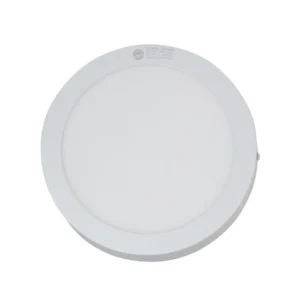 Đèn LED ốp trần tròn 300 24W LN09 3