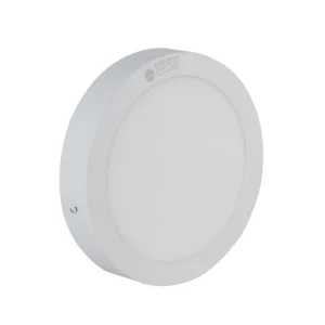 Đèn LED ốp trần tròn 300 24W LN09 4