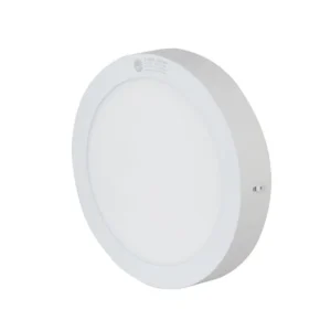Đèn LED ốp trần tròn 300 24W LN09 5