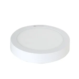 Đèn LED ốp trần tròn 300 24W LN09 6