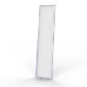 Đèn LED panel P08 300×1200 50W 6500K kpk SS